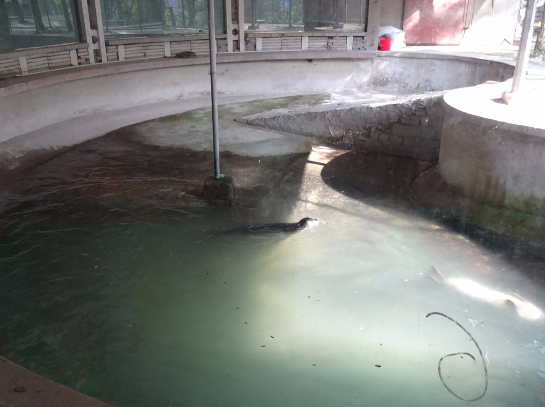 相山公园-淮北市必去景点