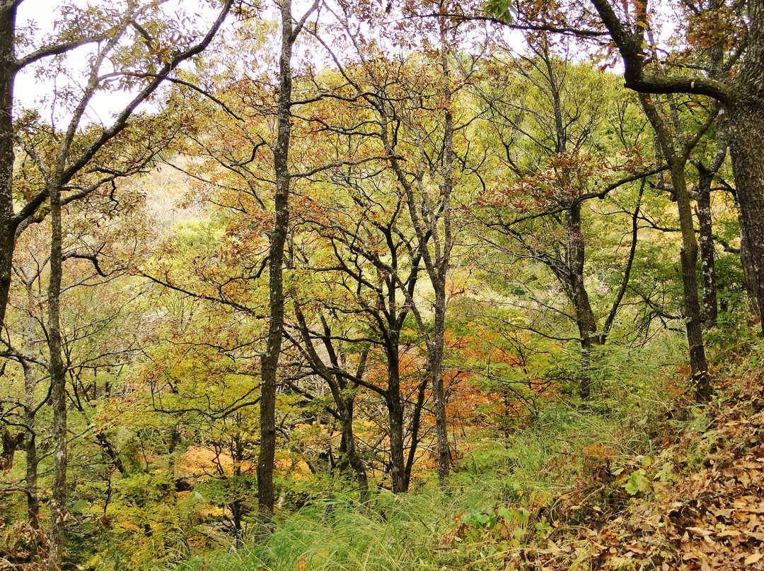 Mazeno Valley景点图片