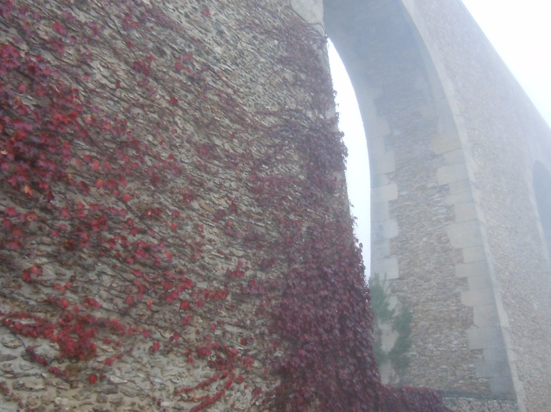 Aqueduc de Louveciennes景点图片