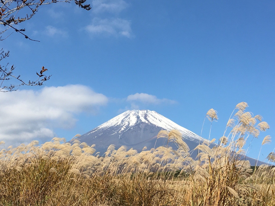 Jurigi Highlands-裾野市必去景点