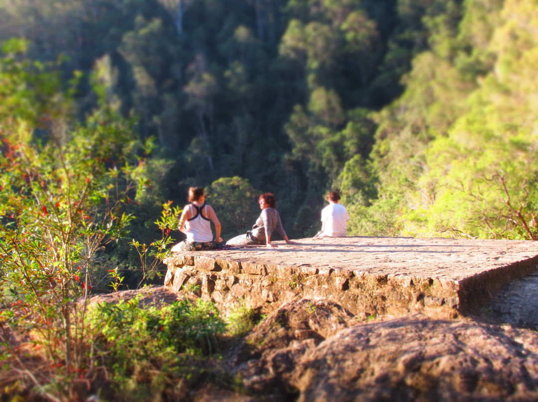 Kondalilla National Park景点图片