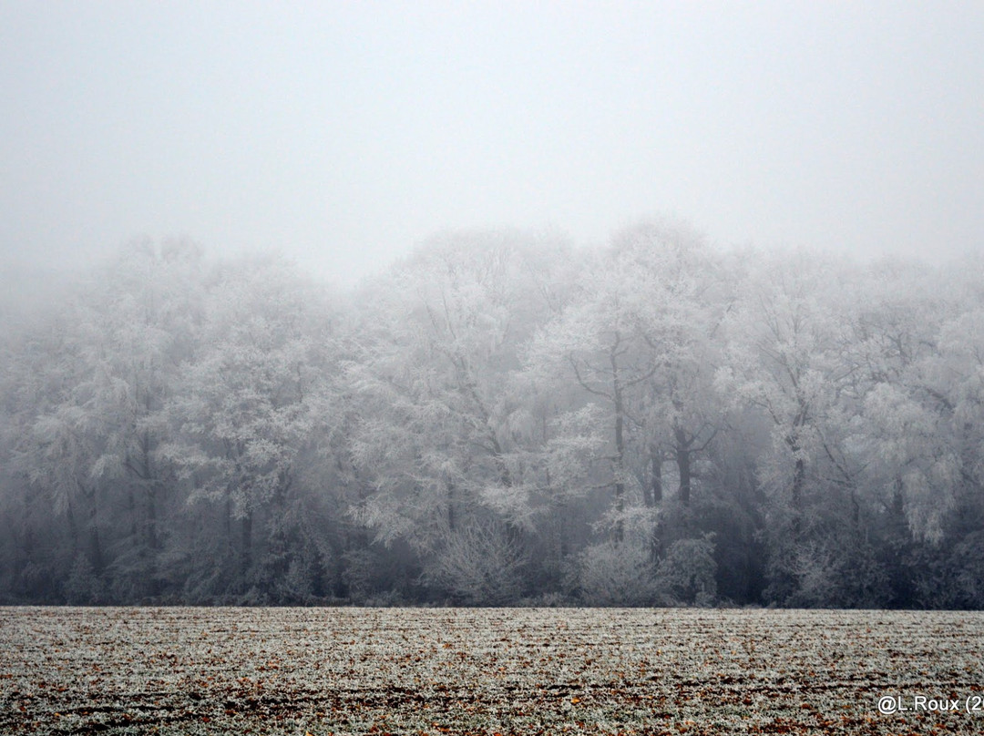 Maulevrier-Sainte-Gertrude旅游攻略图片