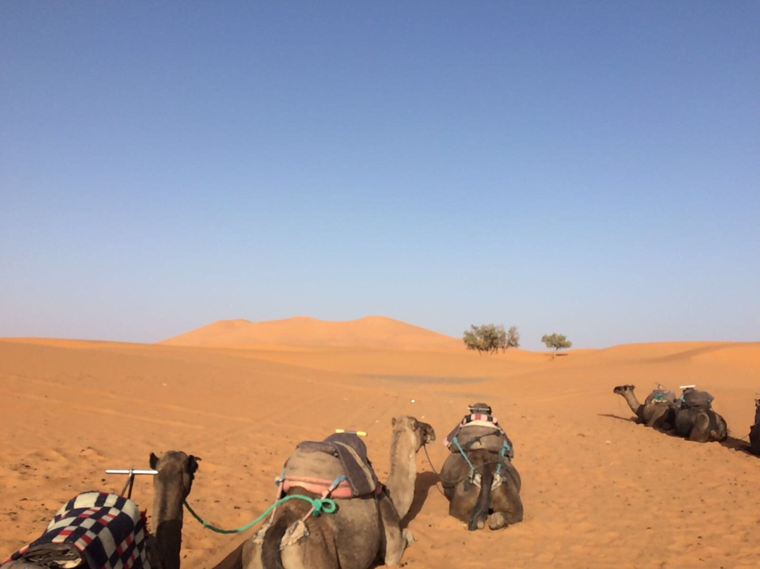 City Tours Morocco-梅如卡必去景点