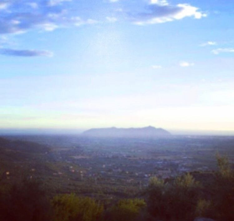 Tenuta Palma