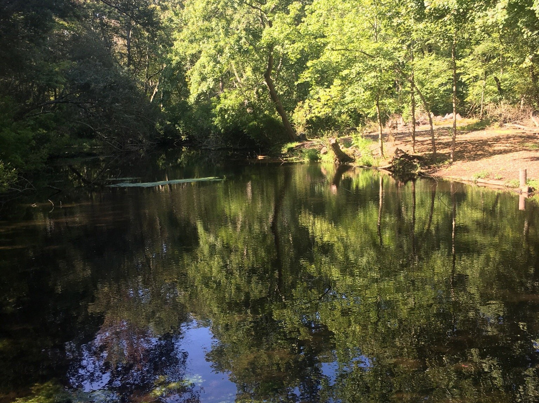 Nissequogue River Canoe & Kayak Rentals inc-Smithtown必去景点