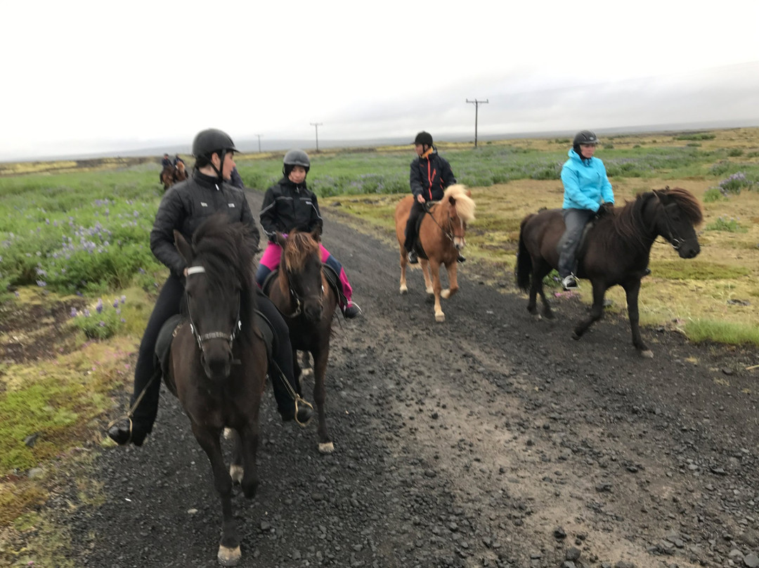 Perluhestar-Thorlakshofn必去景点