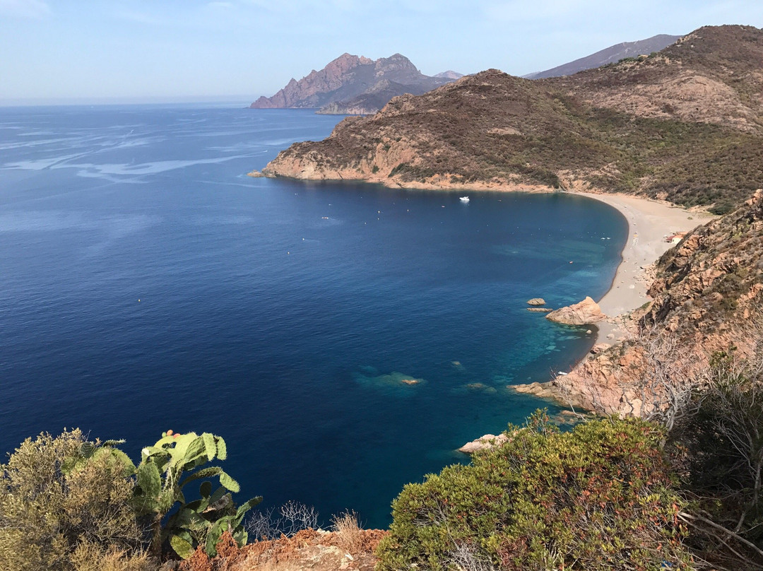 Plage de Bussaglia景点图片