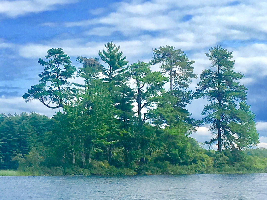 Poland Spring Campground