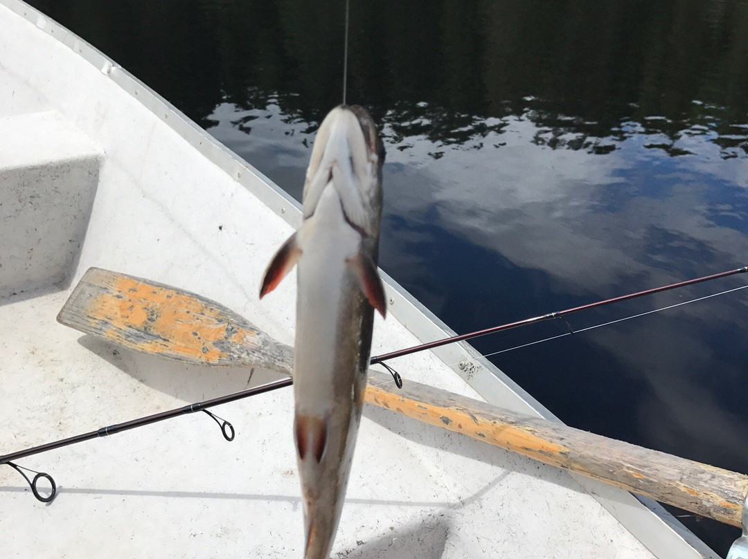 Réserve Faunique de Port-Daniel-Port-Daniel必去景点