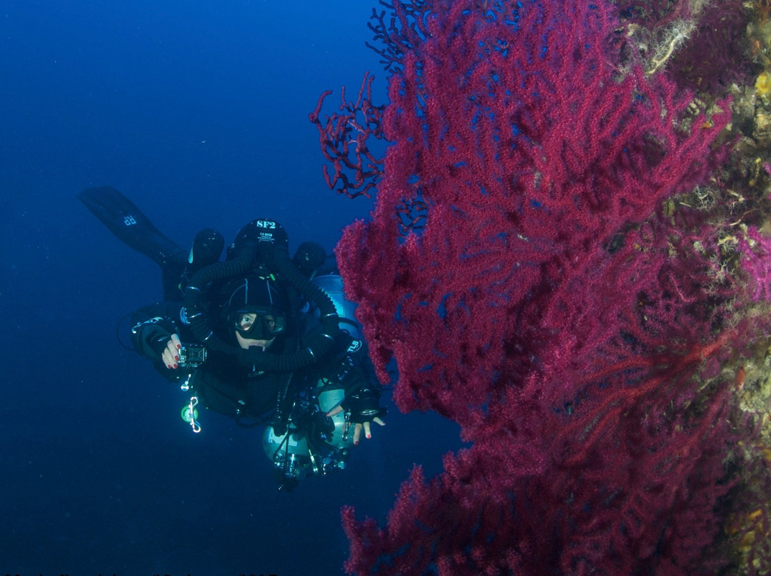 Mistral Diving-Castelsardo必去景点