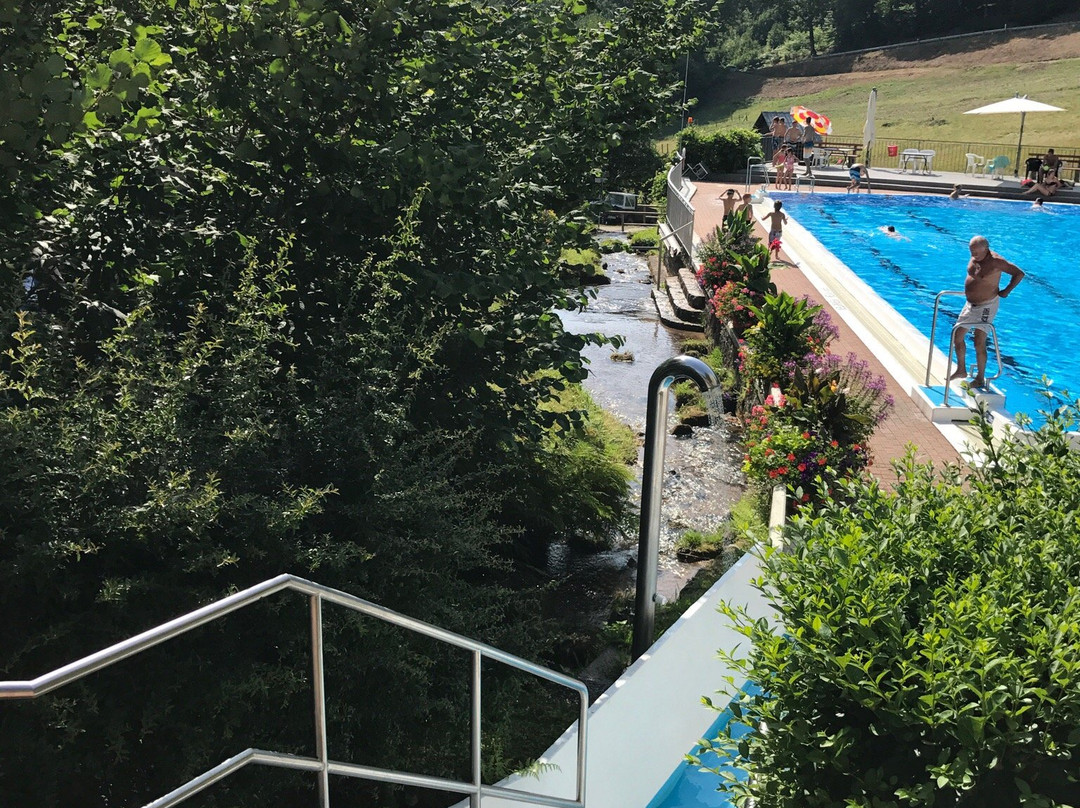 Schwimmbad Reichental景点图片