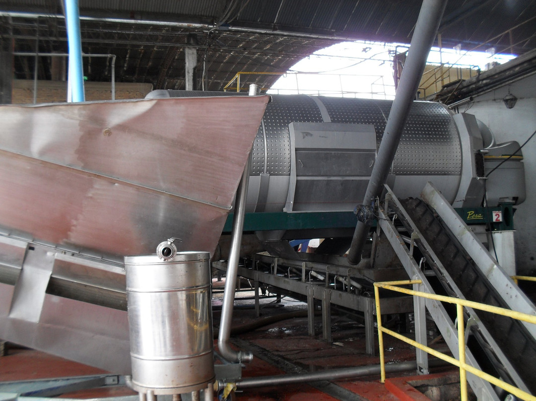 Bodega La Riojana Coop-Chilecito必去景点