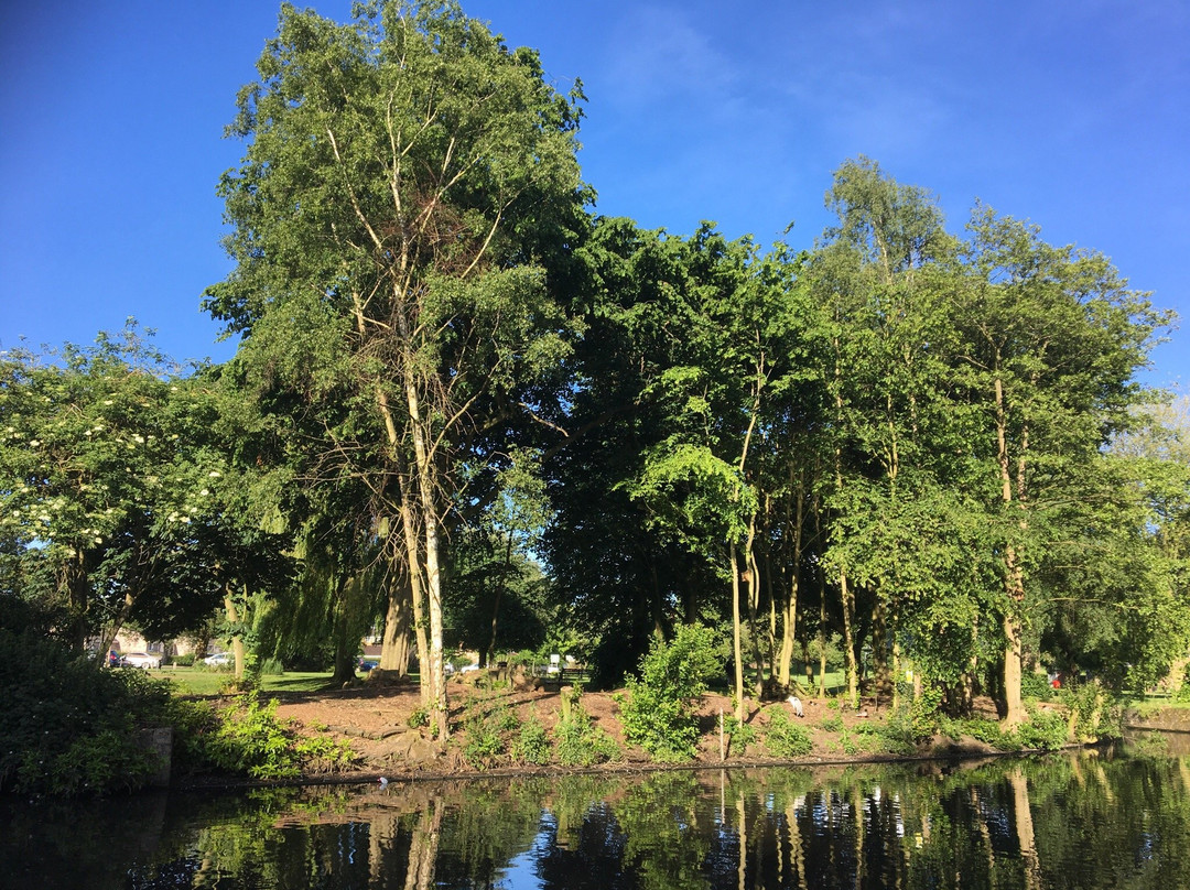 Sanders Park-布罗姆斯格罗夫必去景点