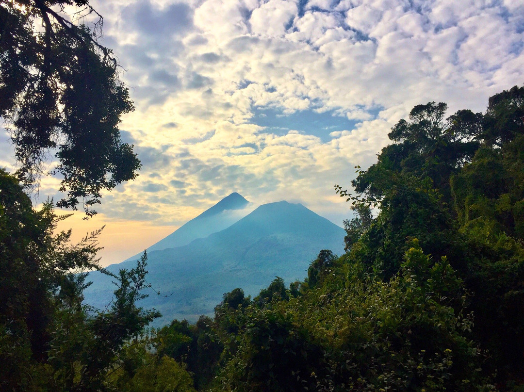 Virunga Volcanoes景点图片