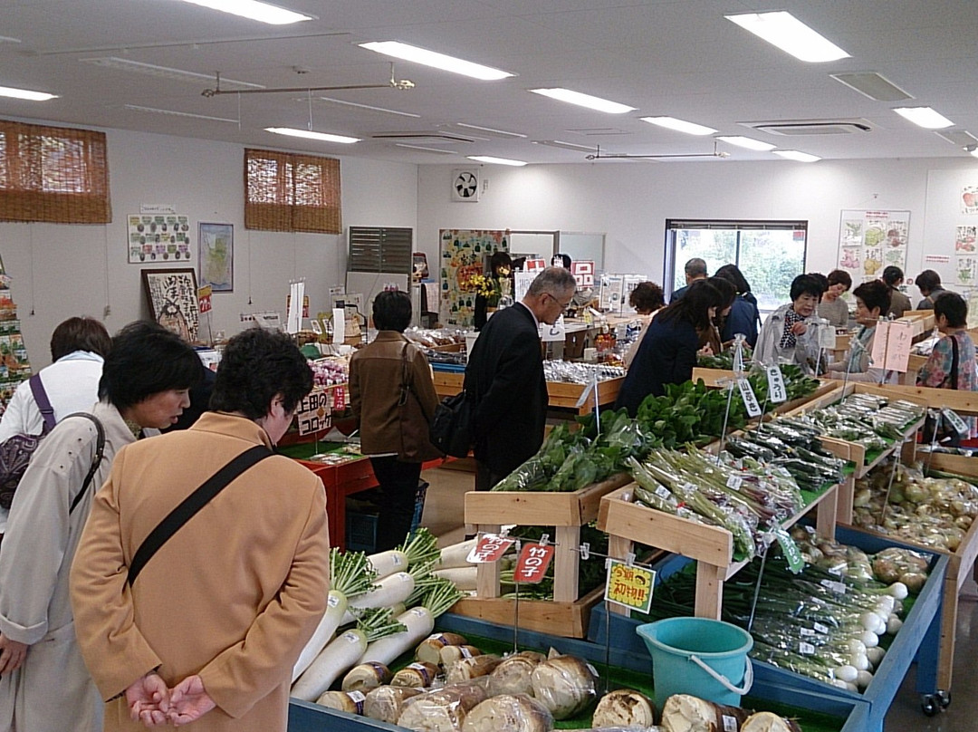 Michi no Eki Umino Kyoto Miyazu-宫津市必去景点