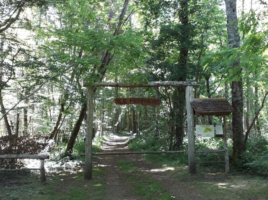 Le Ferrier Antique-Tannerre-en-Puisaye必去景点