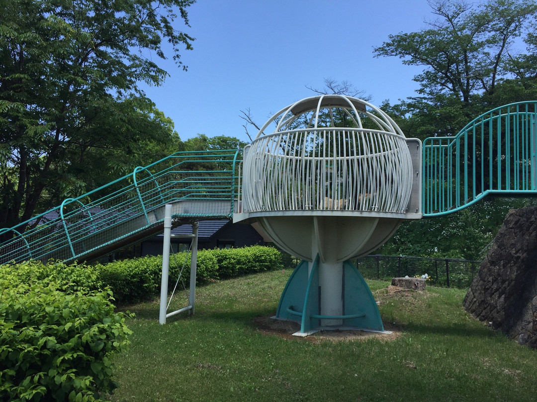 Inariyama Park Cosmo Tower