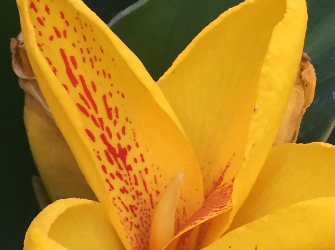 Rakh Bagh Park-卢迪亚纳必去景点