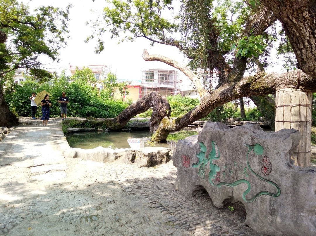 秀水状元村景点图片