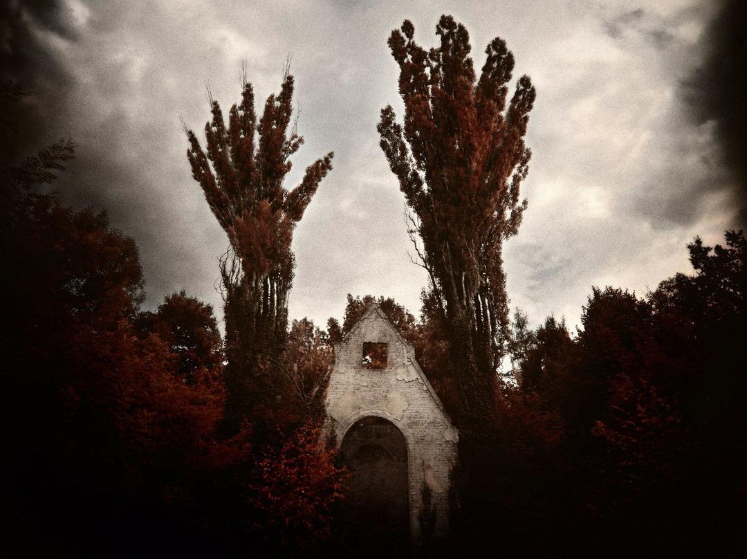 Bohnicky cemetery of fools-布拉格必去景点