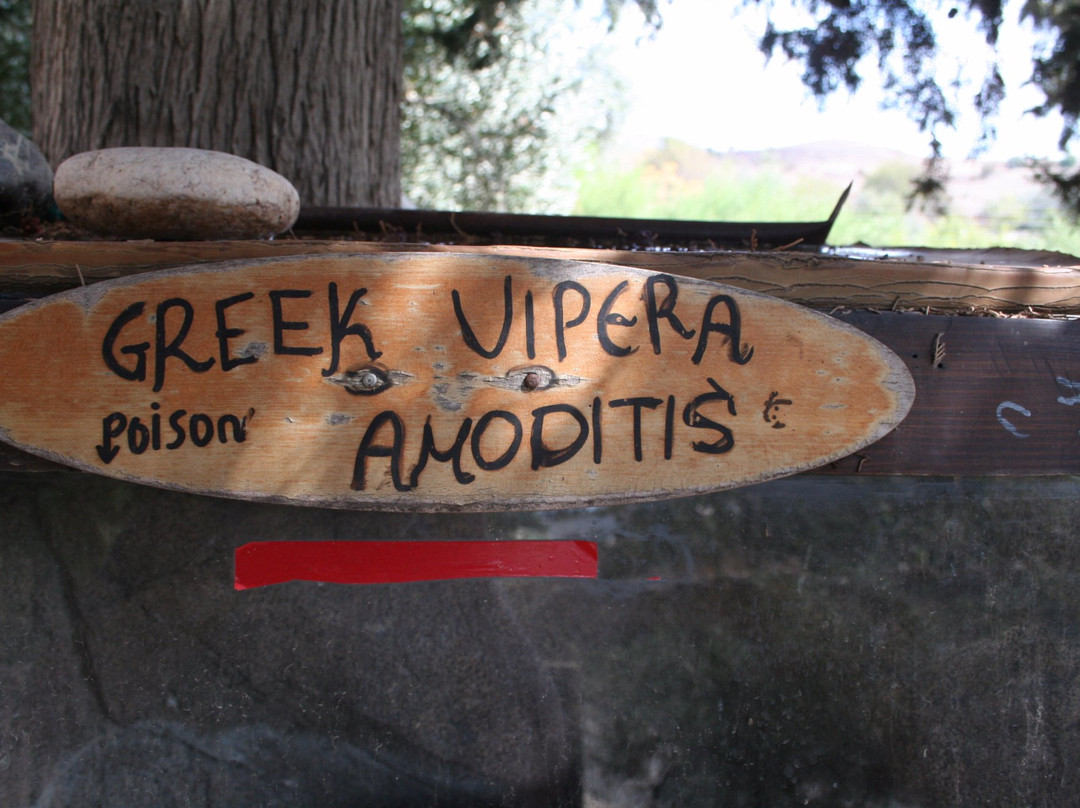 Kouklia Reptile Park-库克利亚必去景点