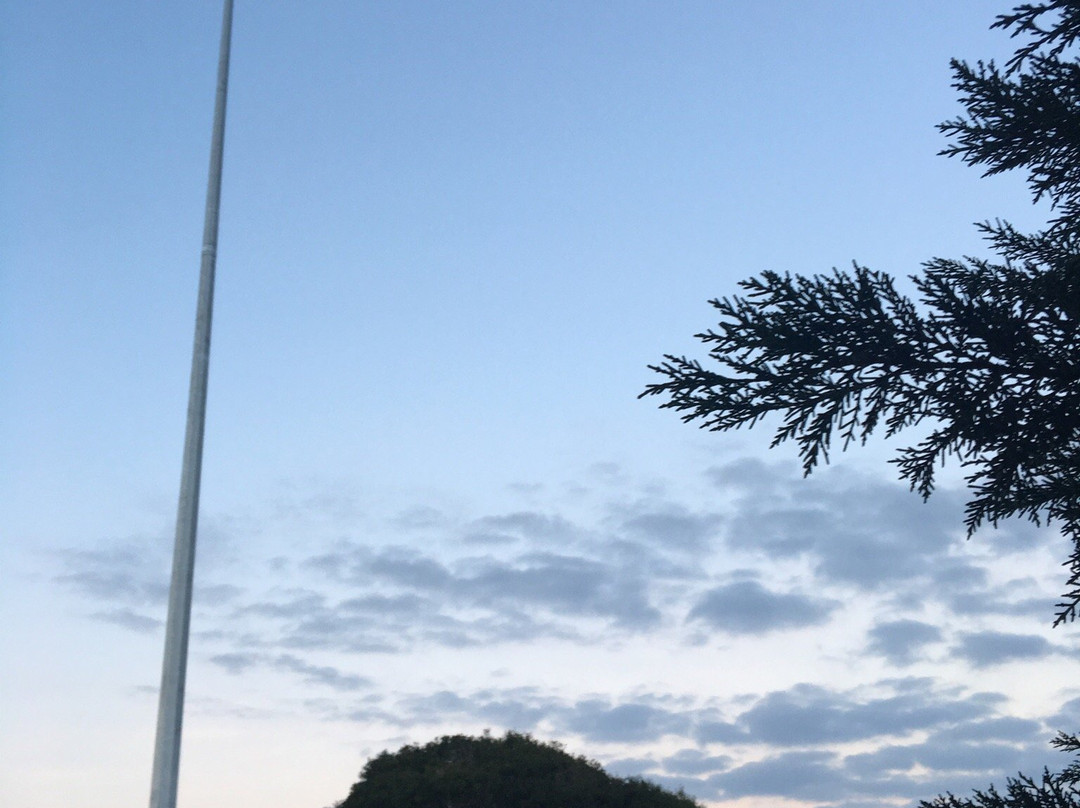 Dendy Park-布莱顿必去景点