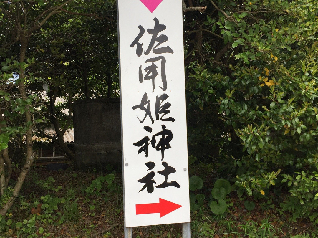 Sayohime Shrine-唐津市必去景点