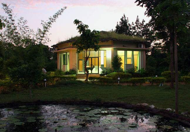 Royal Jungle Retreat