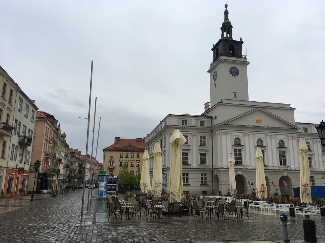 Kalisz旅游攻略图片