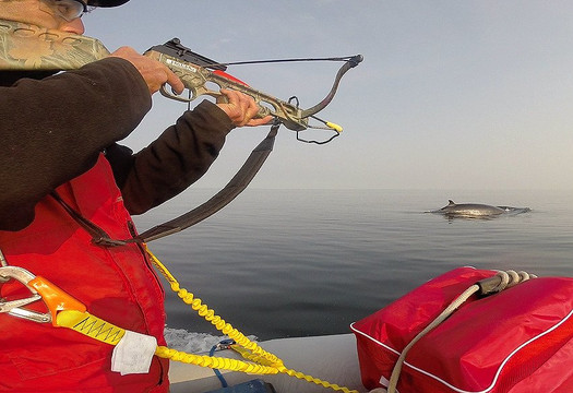 Meriscope-Portneuf-sur-Mer必去景点