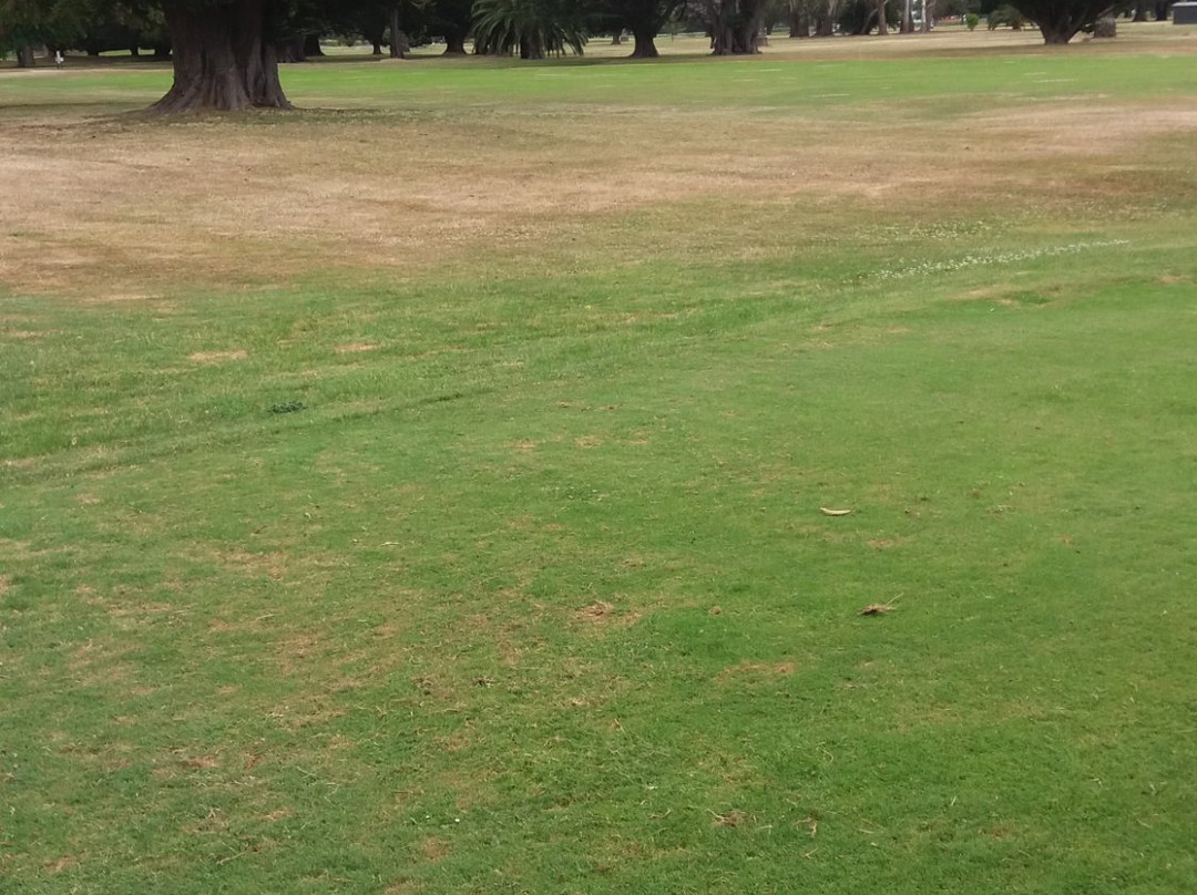 Maraenui Golf Club景点图片