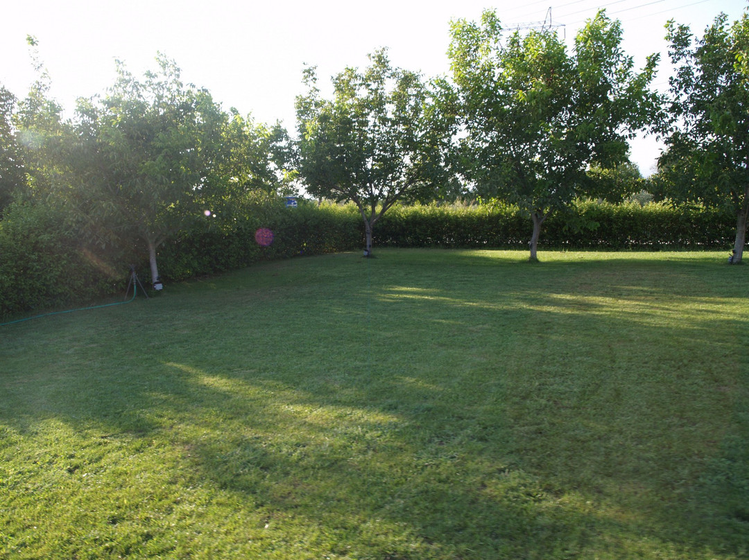 Salesi Guesthouse主图