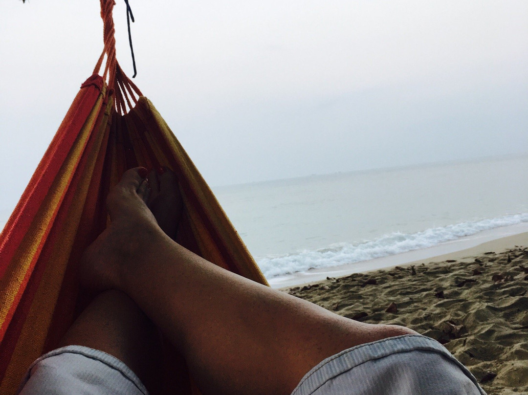 Betty's Music Bar-卡拉多尔必去景点