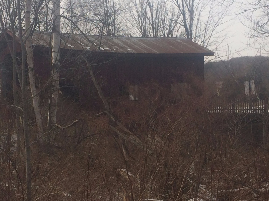 Mills Riverside park-Jericho必去景点