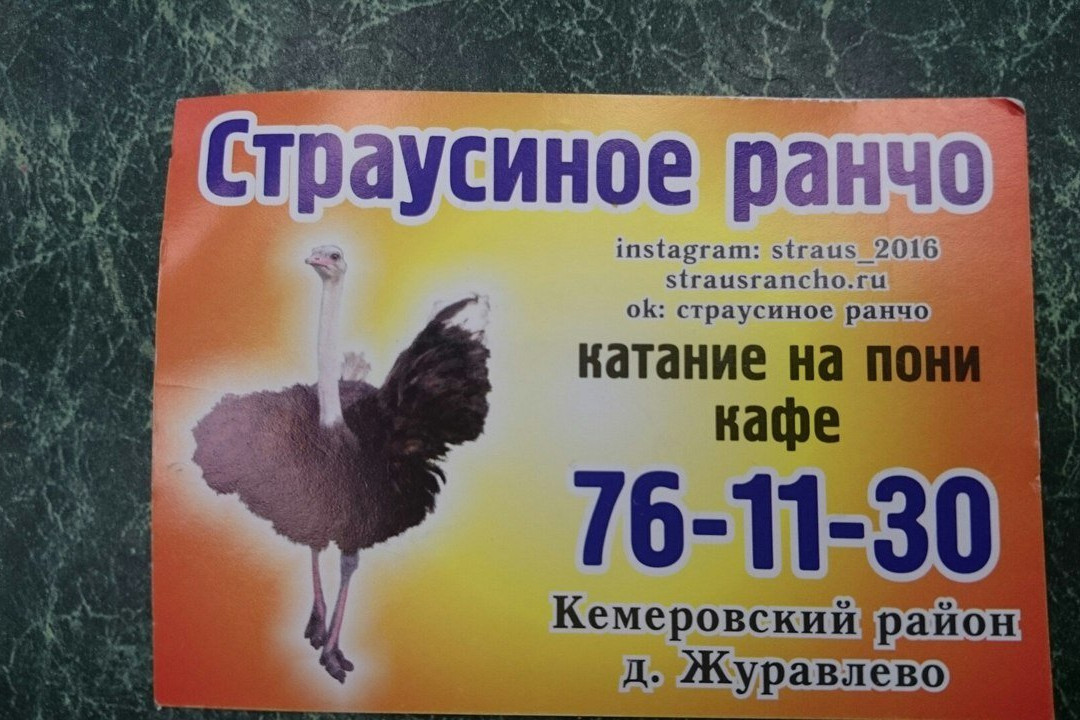 Ostrich Ranch景点图片