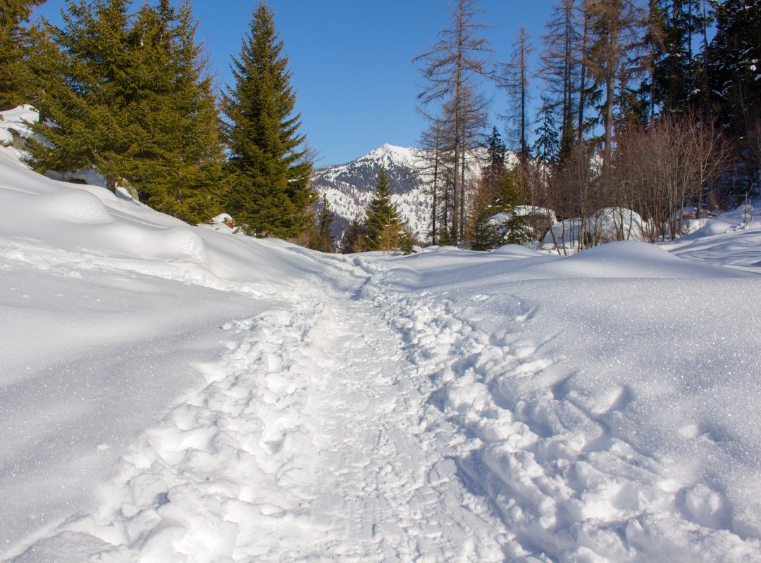 La Tzoumaz ski area-La Tzoumaz必去景点