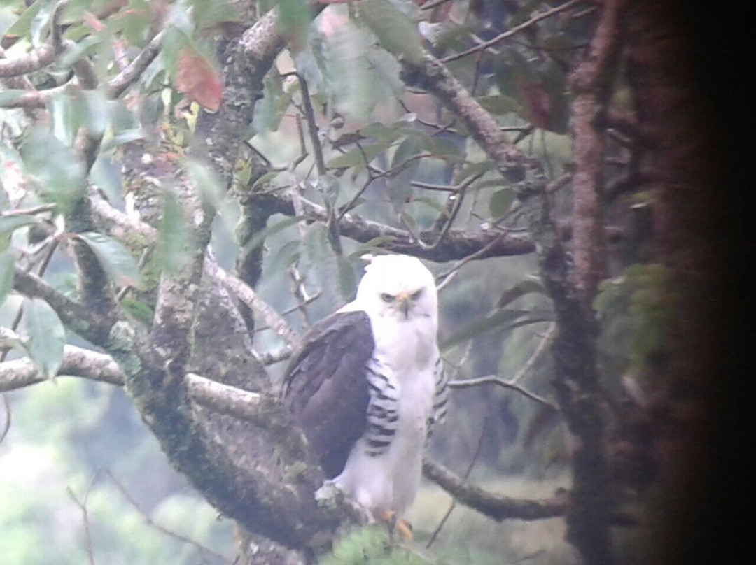 Finca Ecologica San Luis-蒙特沃德必去景点