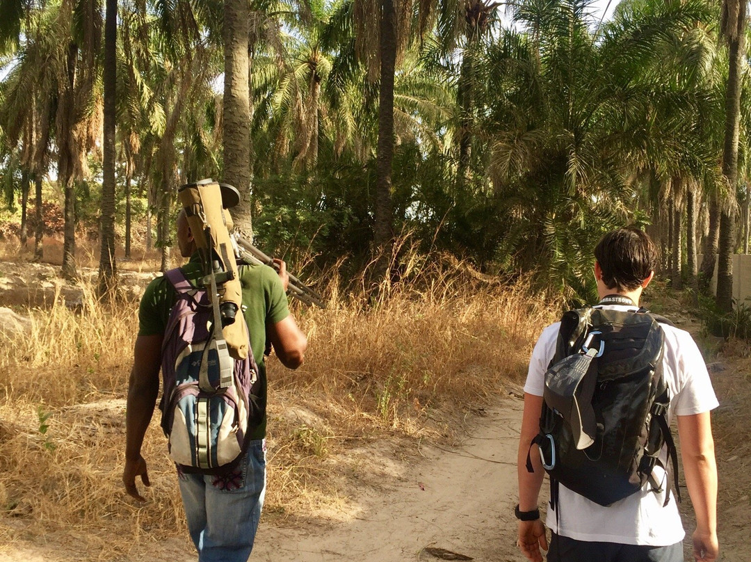 Best Bird Watching Gambia-Bijilo必去景点