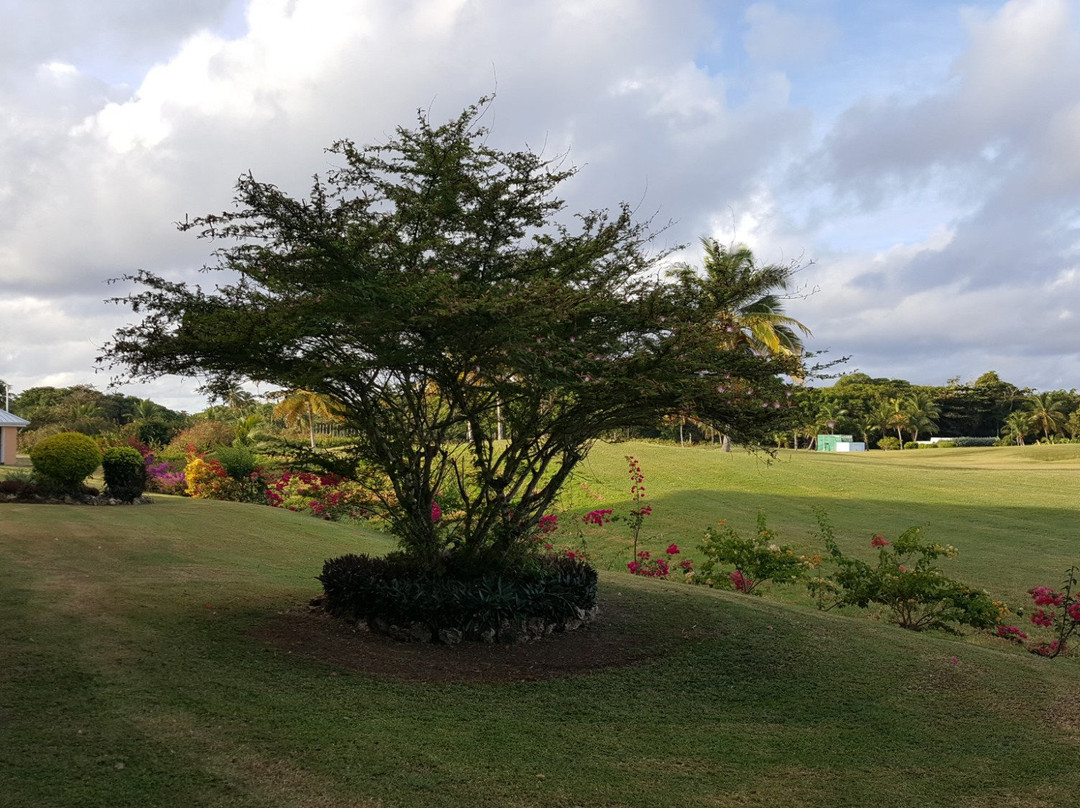 Tobago Plantations Beach and Golf Resort-低地必去景点