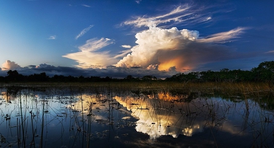 Under The Sun Tours-庞帕诺比奇必去景点