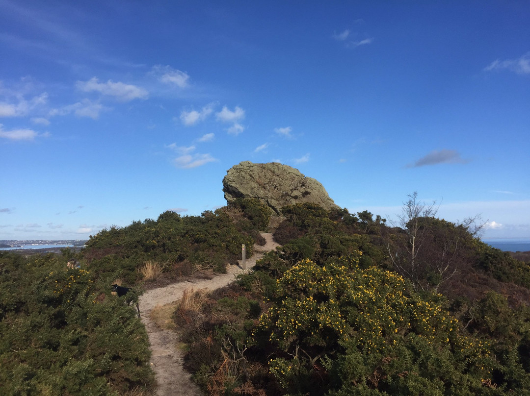 Agglestone Rock景点图片