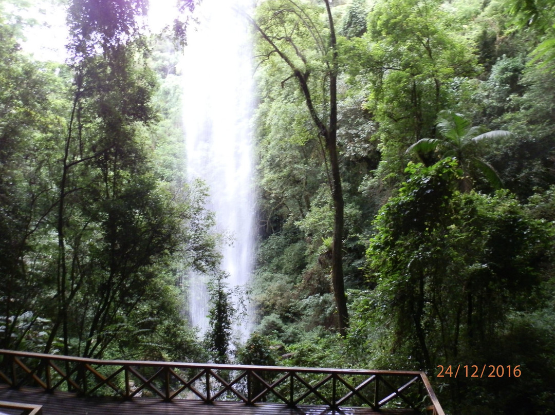 Nossa Senhora de Fátima Grotto景点图片