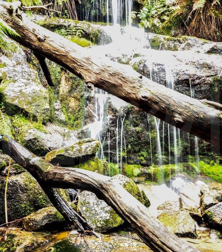 Mount Buangor State Park-维多利亚必去景点