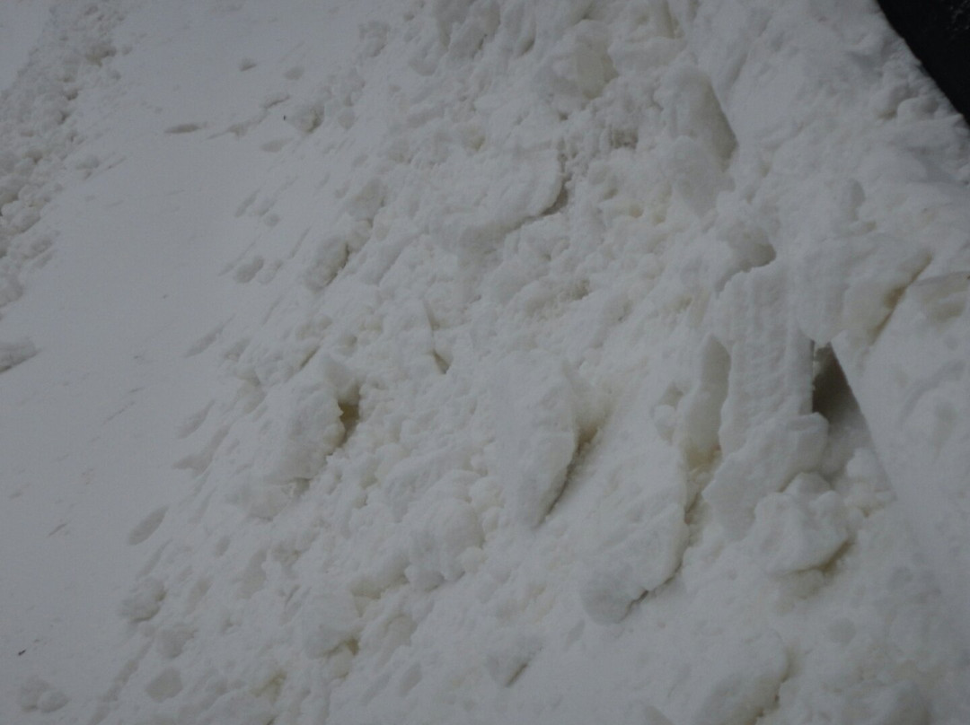 Villa Olivia-Bartlett必去景点