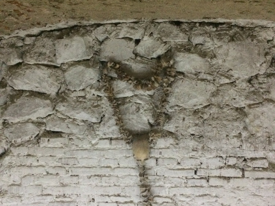 San Francisco Church-苏克雷必去景点