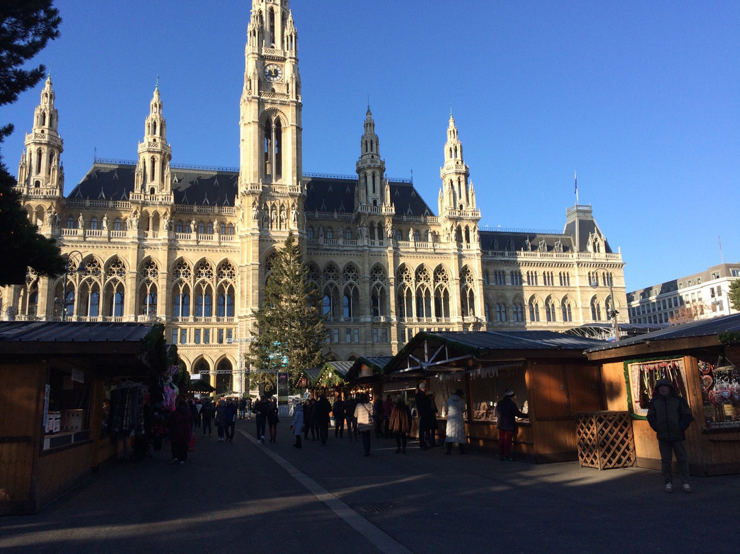 Christmas Market on Rathausplatz景点图片