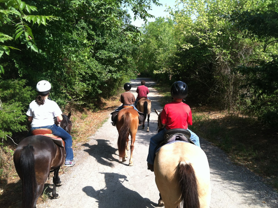 Flying Q-费耶特维尔必去景点