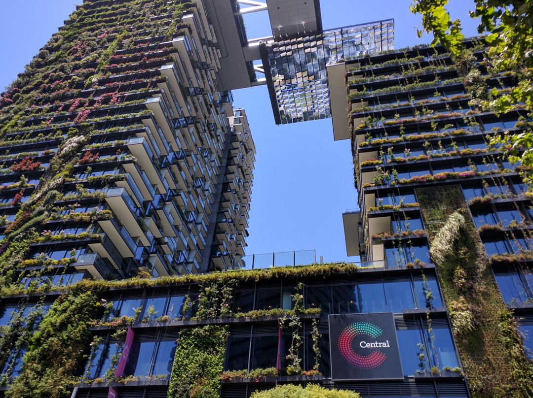 Central Park-悉尼必去景点