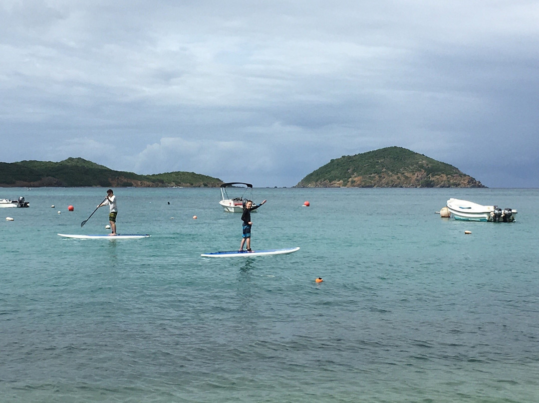 Bluewater SUP Safaris-圣 托马斯必去景点