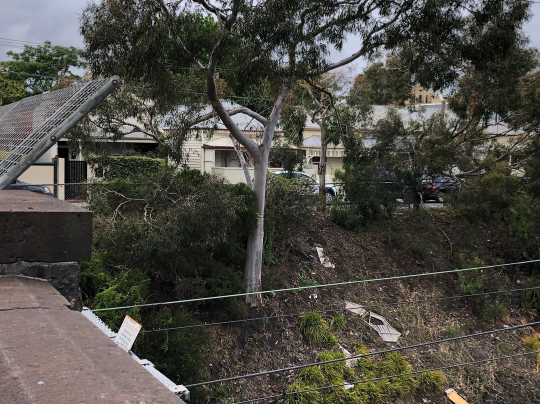 Argo Osborne Playground-South Yarra必去景点
